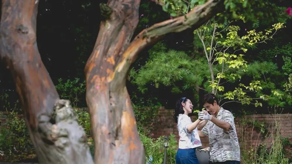 South Korean satirical black comedy thriller